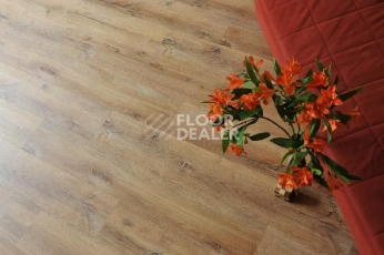 Кварцвиниловые полы Ecoclick Rich замковый 4.2мм NOX-1959 Дуб Марракеш фото 1 | FLOORDEALER